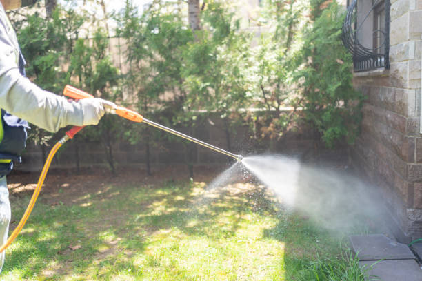 Outdoor Pest Control in Elmwood Park, NJ